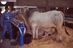 Ama064