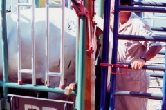 Implementos ganaderos032