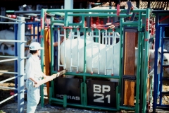 Implementos ganaderos035