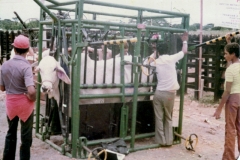 Brete Porras 1005