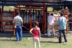 Brete Porras 1014