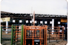 Brete Porras 2004