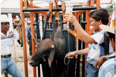 Brete Porras 2006