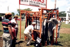 Brete Porras 2007