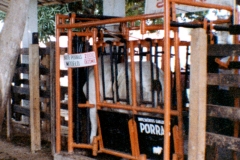 Brete Porras 2010