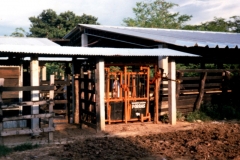 Brete Porras 2011