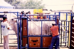 Brete Porras estacion 2032