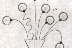 Flora 01