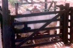 Mesa Porras 24