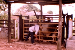 Mesa Porras 26