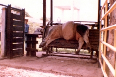 Mesa Porras 27