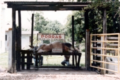 Mesa Porras 28