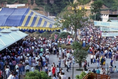 CENFER Sañalizacion 005