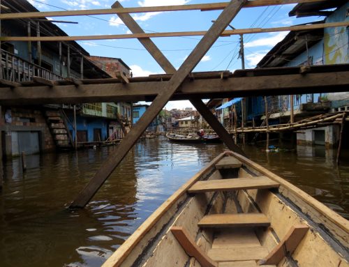 Iquitos asediada. Parte 8 selva